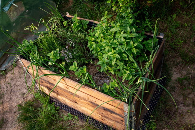 Hochbeet aus Paletten selber bauen