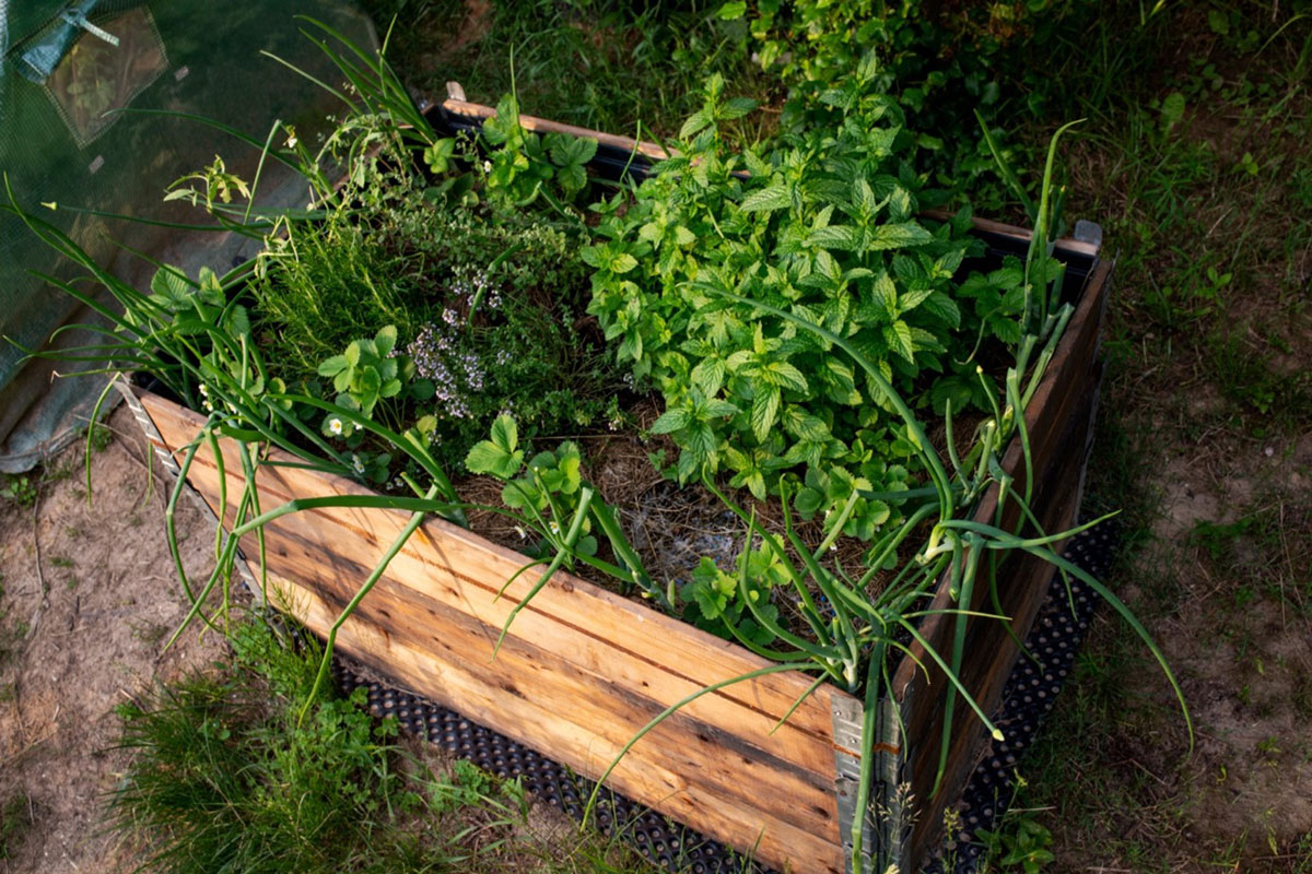 Hochbeet aus Paletten
