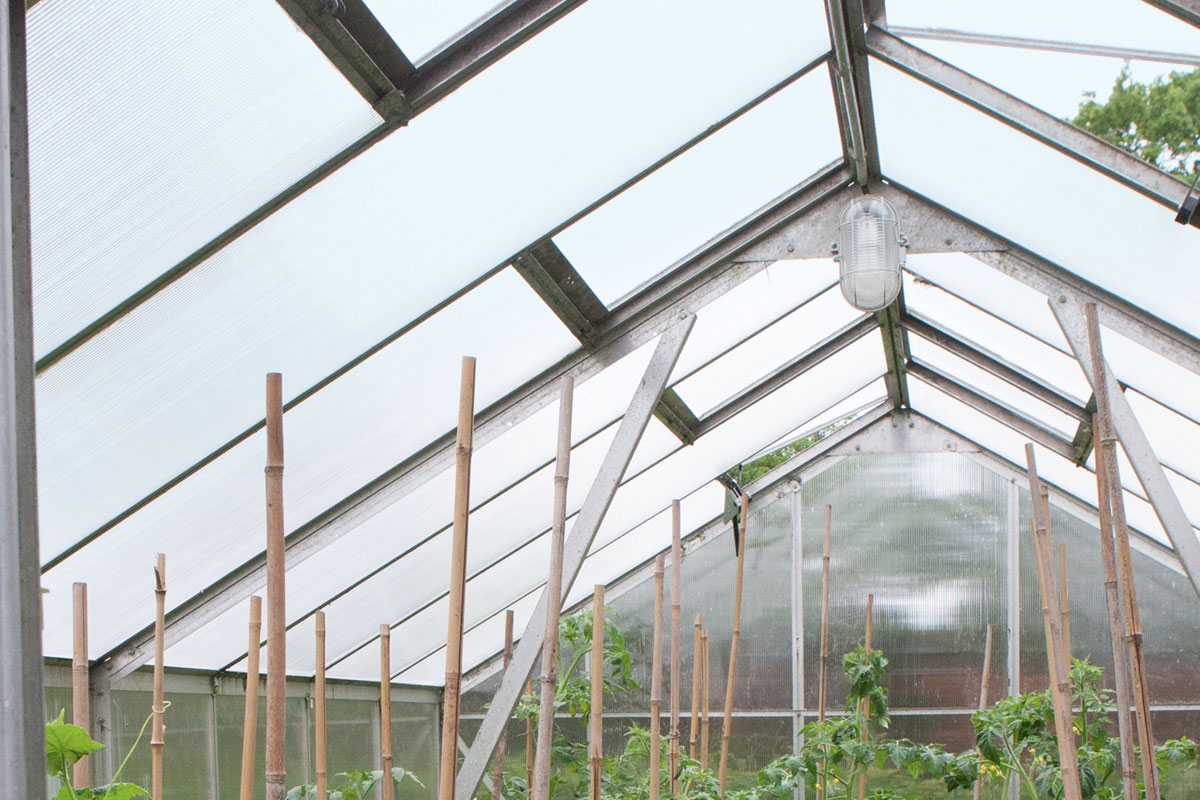 Gewächshaus – Innenansicht Gewächshaus mit sauberen Scheiben