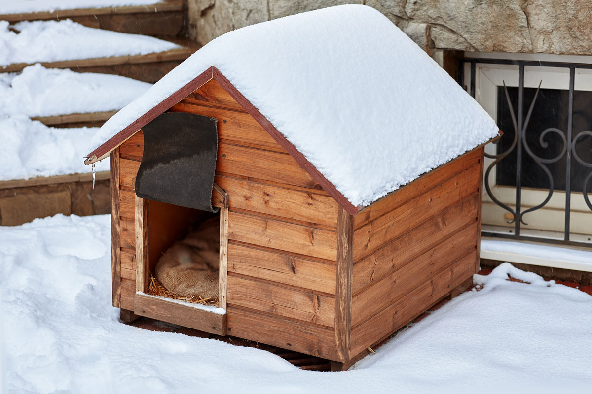 Hundehütte im Winter