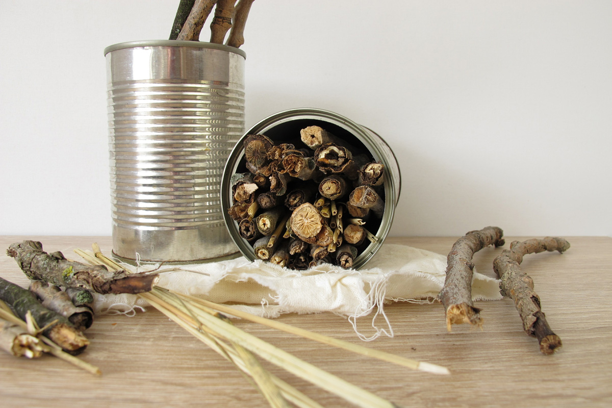 Insektenhotel bauen aus Dosen