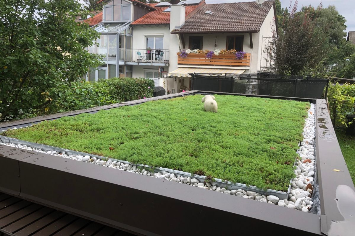 Urbanscape kann auf allen Flachdachkonstruktionen eingesetzt werden. Voraussetzung dafür ist eine intakte Dachabdichtung