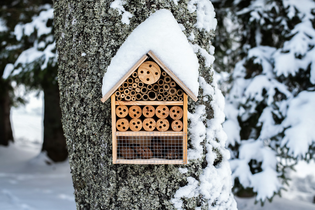 Insektenhotel im Winter