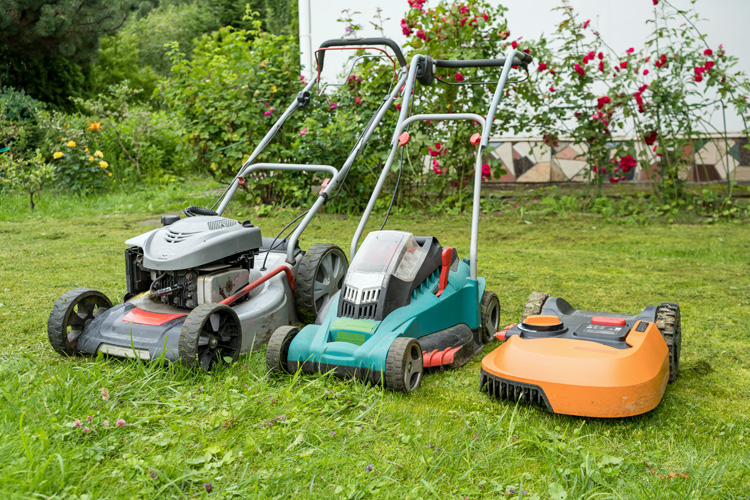 Verschiedene Rasenmäher-Typen im Vergleich