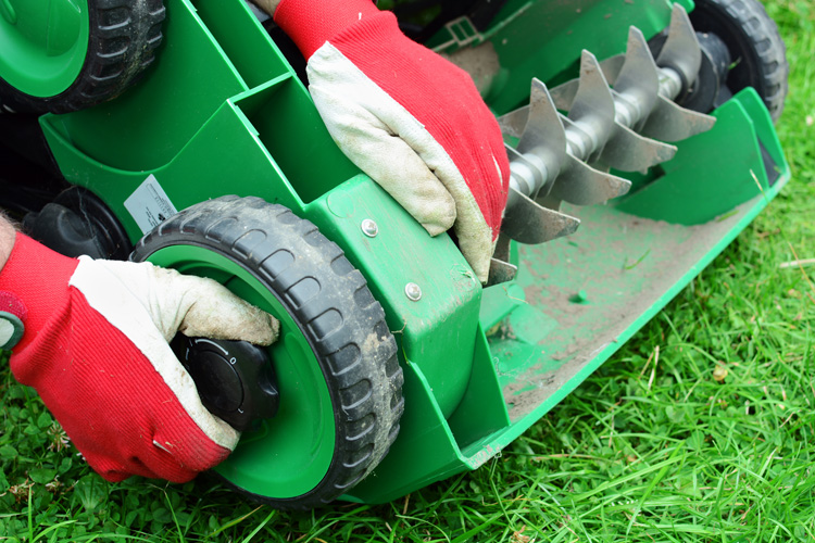 Die Messer des Vertikutierers kratzen nur an der Rasenoberfläche